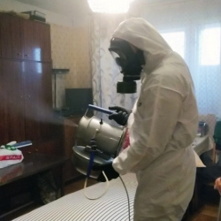 Дезинфекция от клопов в Бавлах