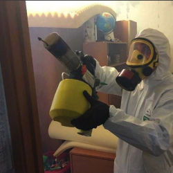 Уничтожение клопов в квартире. Бавлы